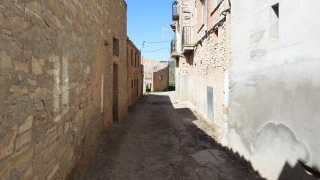 Reto visual: ¿Eres capaz de ver a los dos gatos en menos de 30 segundos?