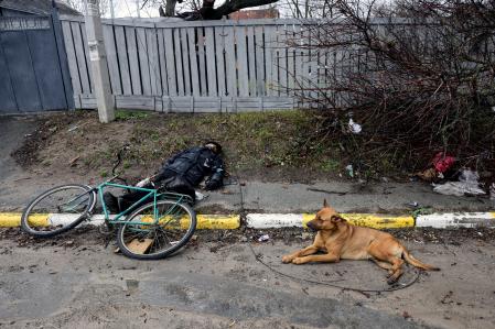 SENSITIVE MATERIAL. THIS IMAGE MAY OFFEND OR DISTURB A dog lays next to the body of a civilian, who according to residents was killed by Russian soldiers, amid Russia's invasion on Ukraine, in Bucha, in Kyiv region, Ukraine, April 3, 2022. REUTERS/Stringer     TPX IMAGES OF THE DAY