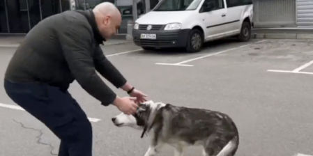 El emotivo reencuentro entre un perro y su dueño en Bucha después de días separados por la guerra en Ucrania