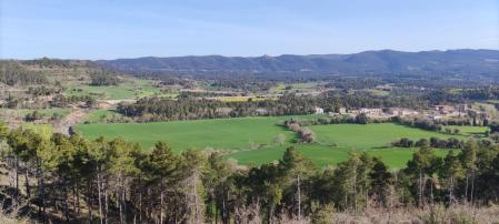 Paisaje de Sant Pere de Sallavinera.