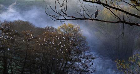 Paisaje de brumas en el Meandre del Despujol.
