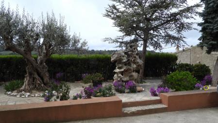 Solución al Reto visual del gato.