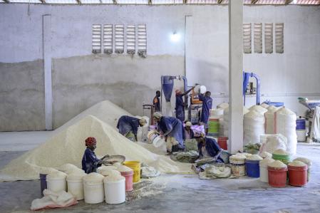 + + +  U S E  F O R  P R E S E N T A T I O N   O N L Y ! + + +
Project : Eradicate malnutrition  through a “Dosifier” adding micronutriment to fortify staple foods