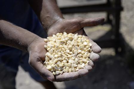 + + +  U S E  F O R  P R E S E N T A T I O N   O N L Y ! + + +
Project : Eradicate malnutrition  through a “Dosifier” adding micronutriment to fortify staple foods