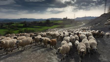 Familia de pastores de Manlleu.