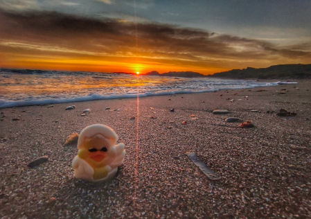 Día de la mona en la playa de Llançà.