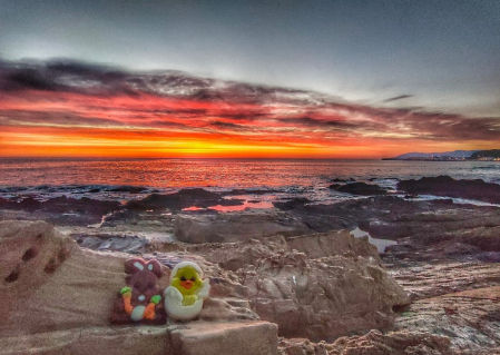 Día de la mona en la playa de Llançà.