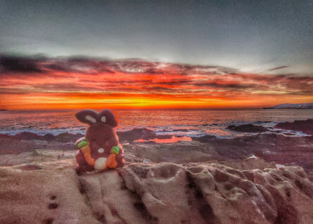 Día de la mona en la playa de Llançà.