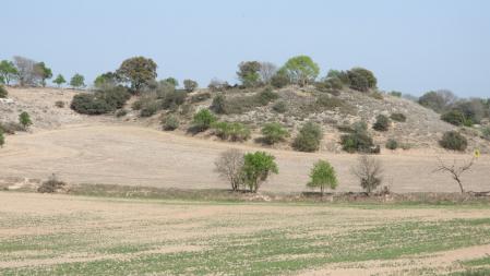 Solución al Reto visual.