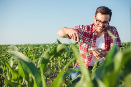 Un agricultor junto a su plantación