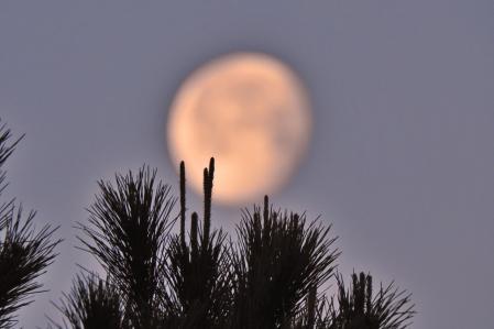 Luna menguante en Mijas.