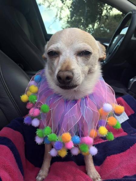 TobyKeith acaba de entrar en el Guinness World Records gracias a su edad