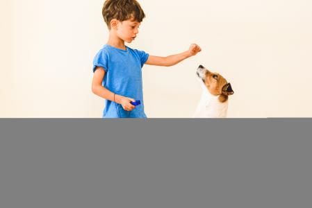 Un niño utiliza el clicker con su Jack Russell Terrier