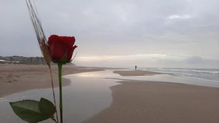 Sant Jordi en Gavà.