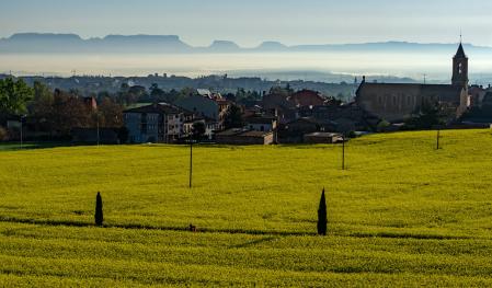 Neblina en Sentfores.