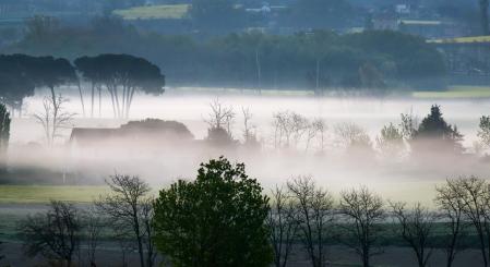 Neblina en Sentfores.