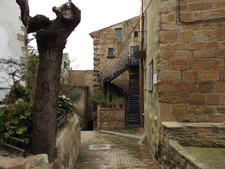 Explorando los rincones de Sedó.