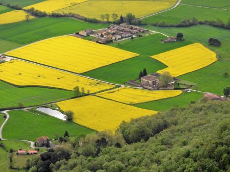 Geometría de colores en los campos de la Vall d’en Bas.