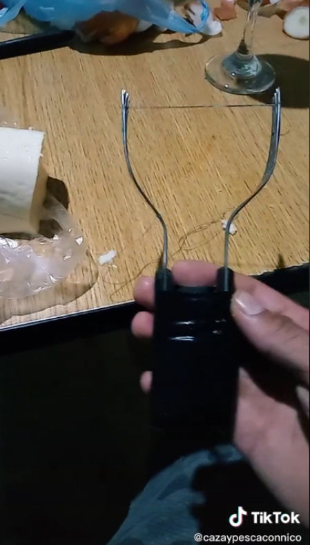 Descripción de la imagen