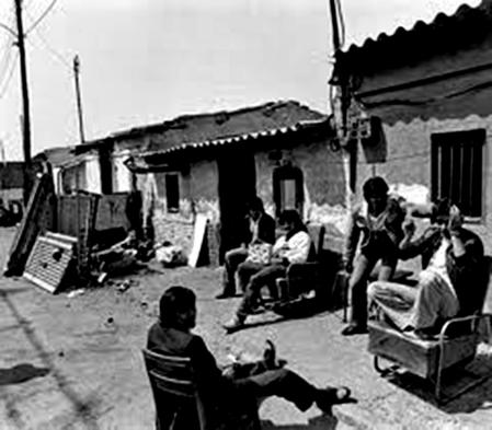 Tomando el sol entre la basura.