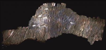 Escaneo del techo de la cueva que revela las figuras gigantes (resaltadas en
blanco)