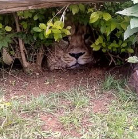 La posición de la bolsa engañó al ciudadano