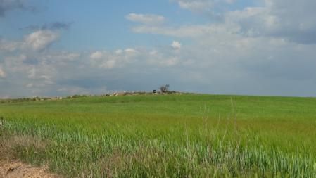 Solución al Reto visual de la perdiz roja.