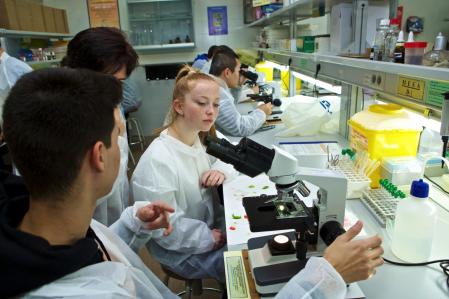 El 30% de los estudiantes universitarios en Alicante son europeos.