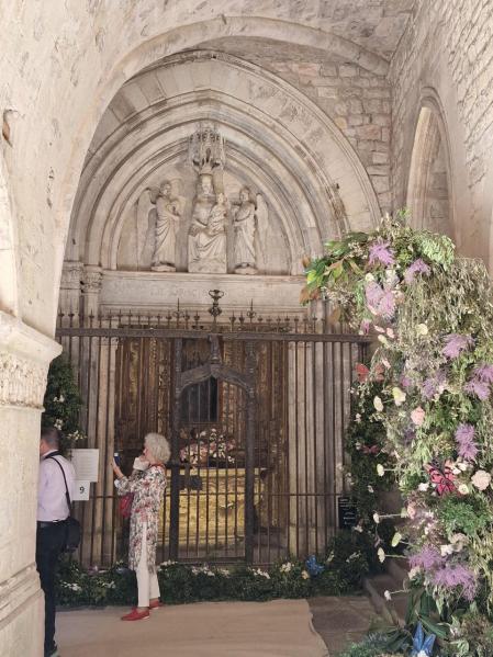 Girona Temps de Flors en el claustro de la catedral.