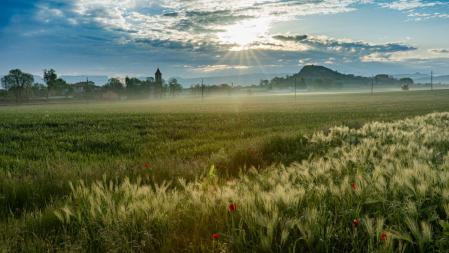 Amanecer entre brumas en Manlleu.