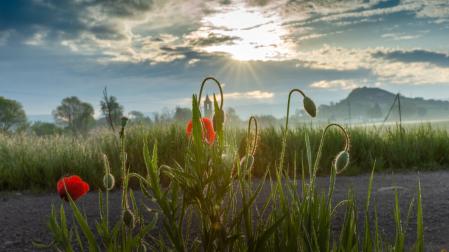 Rayos crepusculares al amanecer en Manlleu.
