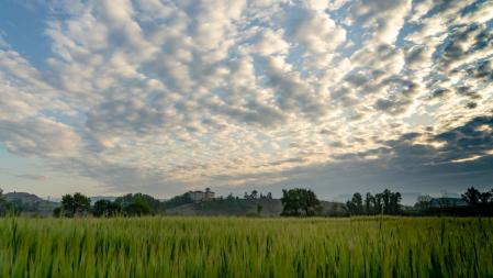 Amanecer de mayo en Gurb.