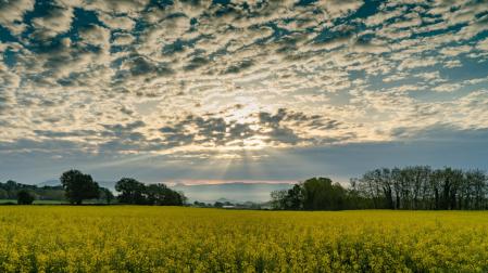 Amanecer de mayo en Gurb.