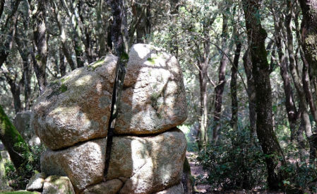 El Turó de Tagamanent.