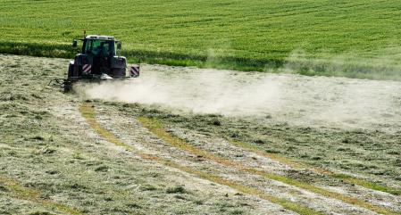 El tractor, trabajando la comida para el ganado.