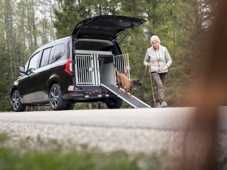 Es importante llevar bien a las mascotas en el coche&nbsp;