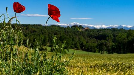 Las tres estaciones en una, en el Lluçanès.