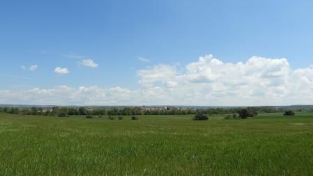 Hostafrancs de Sió.