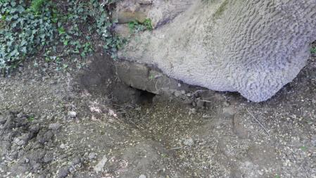 Fuente del río Sió.