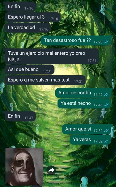 Captura de pantalla de la conversación
