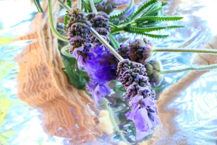 Lavanda.