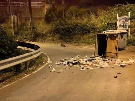 Contenedores tumbados por los jabalíes para encontrar comida.