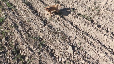 Reto visual: ¿Puedes ver el duro?