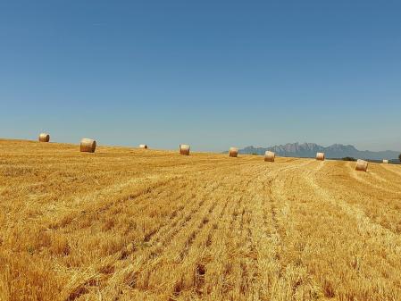 Mont d'Or, con Montserrat al fondo.