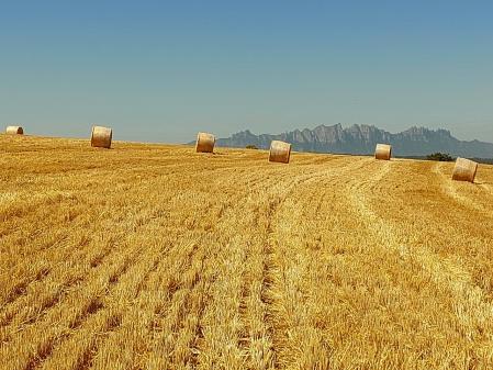 Mont d'Or, con Montserrat al fondo.