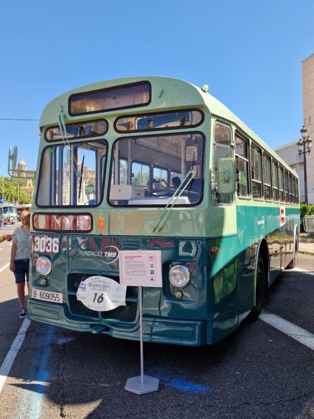Autobuses clásicos.
