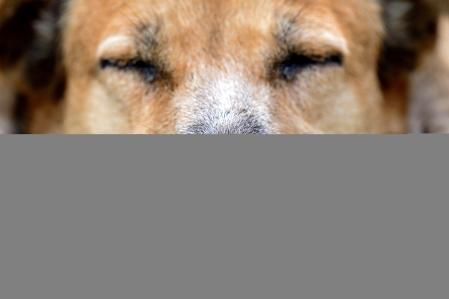 Es una patología que no suele tener complicaciones