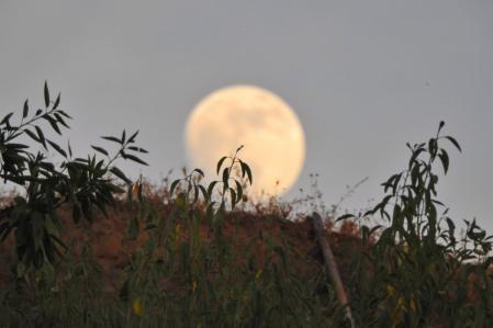 La luna creciente vista desde Mijas.