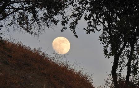 La luna creciente vista desde Mijas.