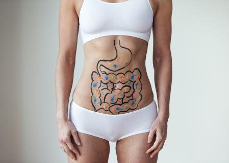 Un buen estado de la microbiota intestinal es esencial